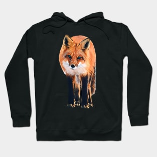 Fox - Woodland Themed Kids Room, Funny Gifts For Forester, Cute Animals Hoodie